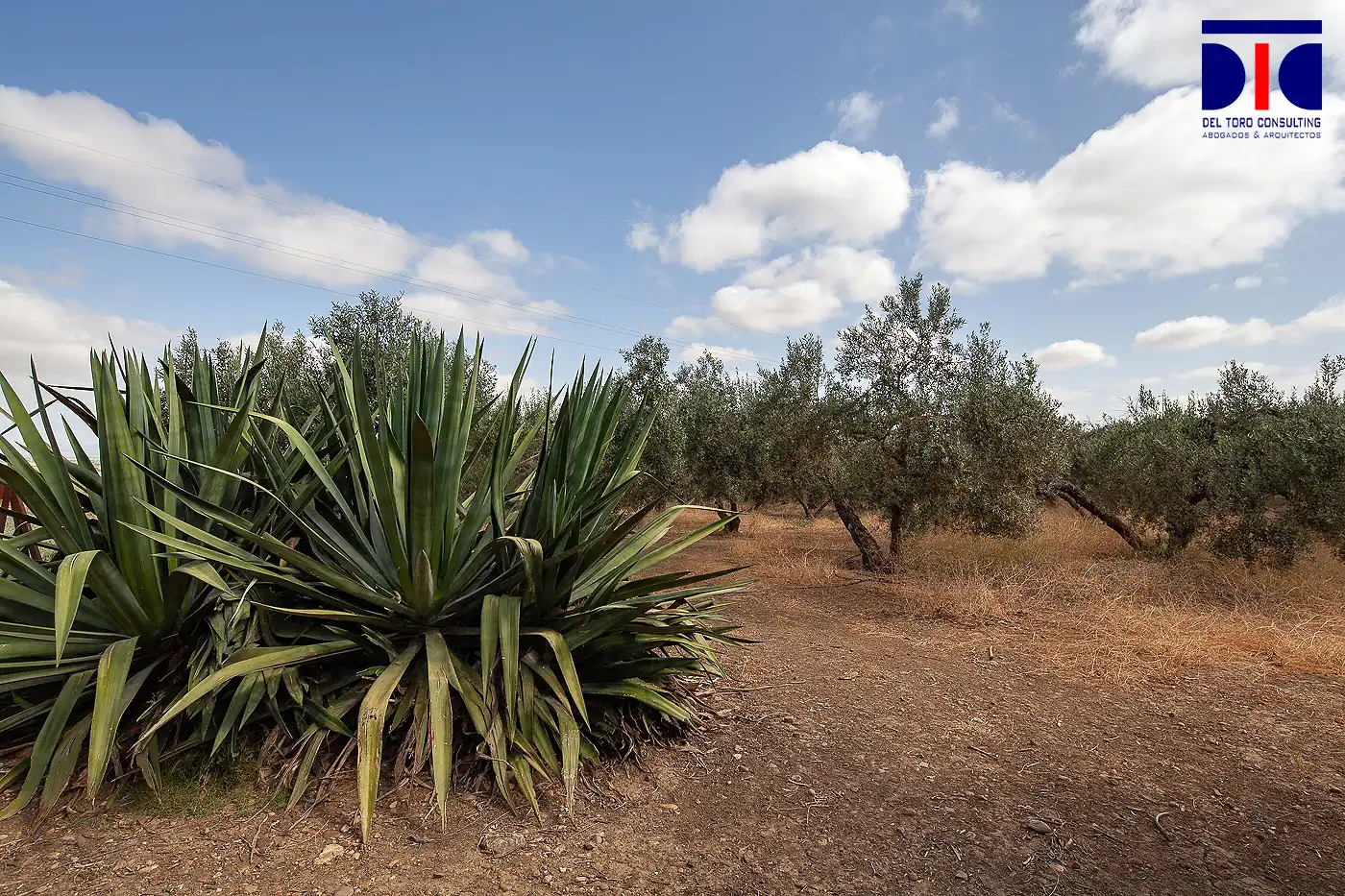 Finca rústica en venta en Carmona con Jardín privado, Terraza y Piscina