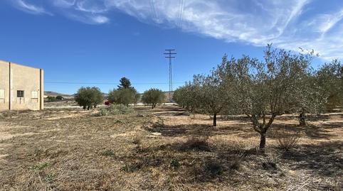 Foto 5 de Residencial en venta en Club de Tenis, Caudete, Albacete
