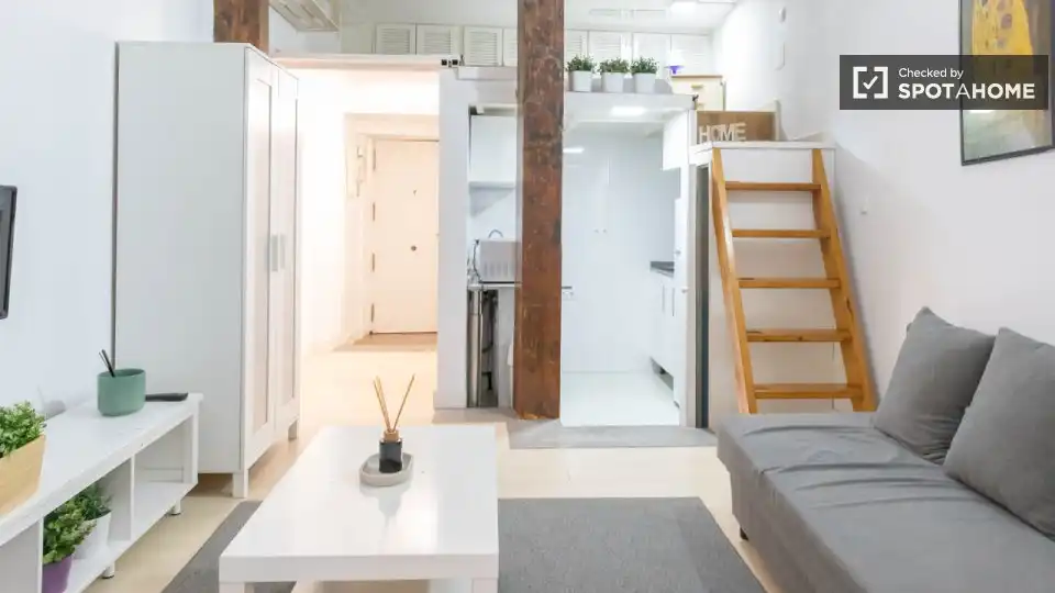 Wohnung mit Terrasse zur Miete in Centro