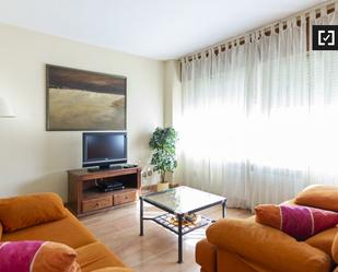 Living room of Flat to rent in  Madrid Capital  with Air Conditioner, Heating and Furnished