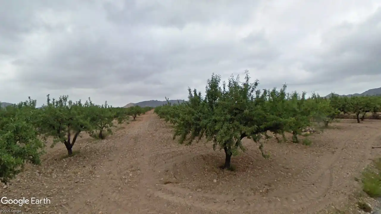 Terreno rustico in vendita a Campo de Murcia, imagen 3