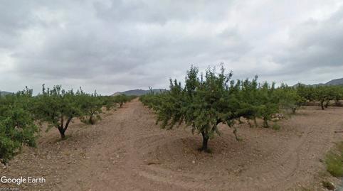 Photo 3 of Land for sale in N/a, -1, Carrascoy - La Murta, Murcia