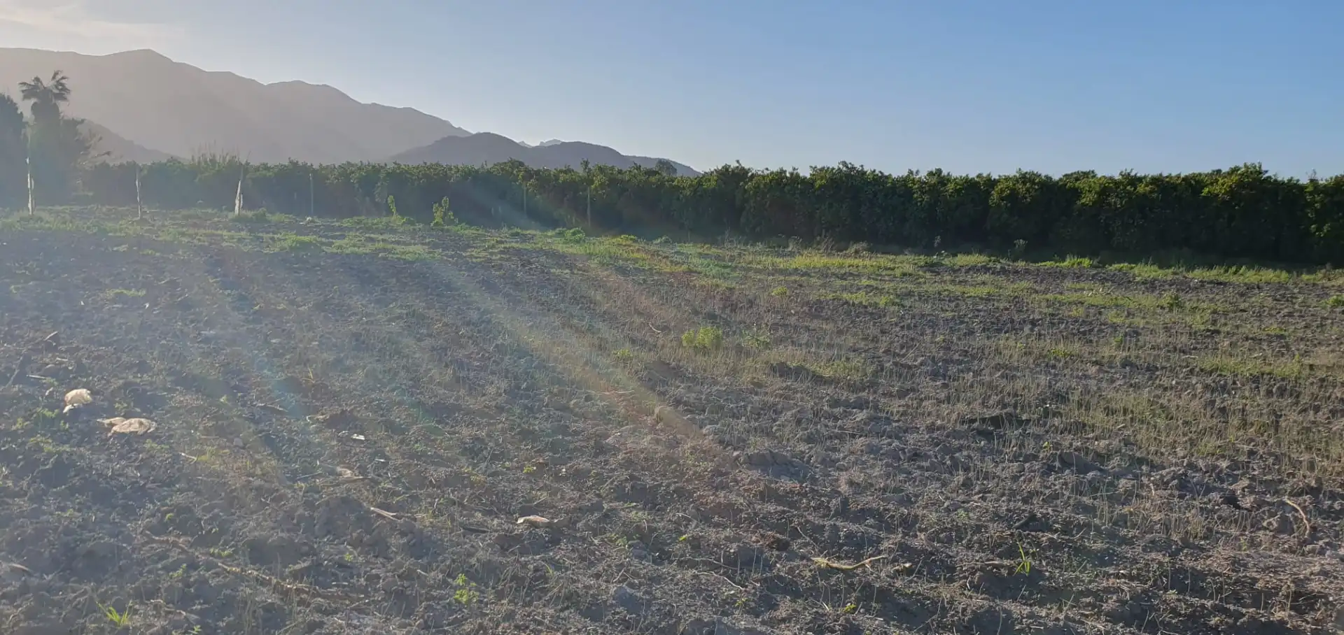 Country homes for sale in Tavernes de la Valldigna