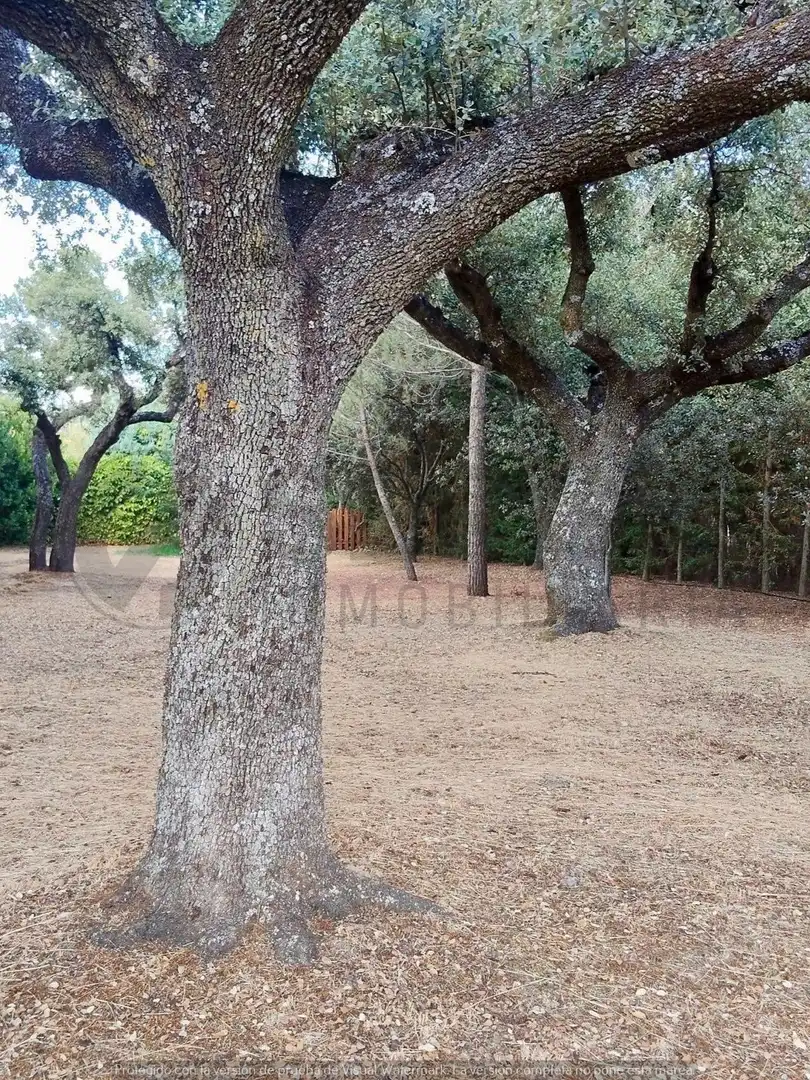 Casa o xalet en venda en Navas de Riofrío amb Calefacció, Jardí privat i Traster