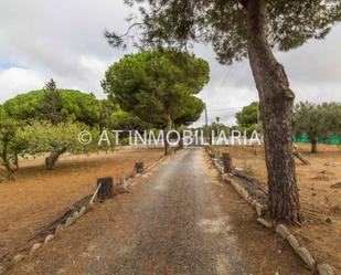 Finca rústica en venda en Chiclana de la Frontera amb Jardí privat, Traster i Piscina