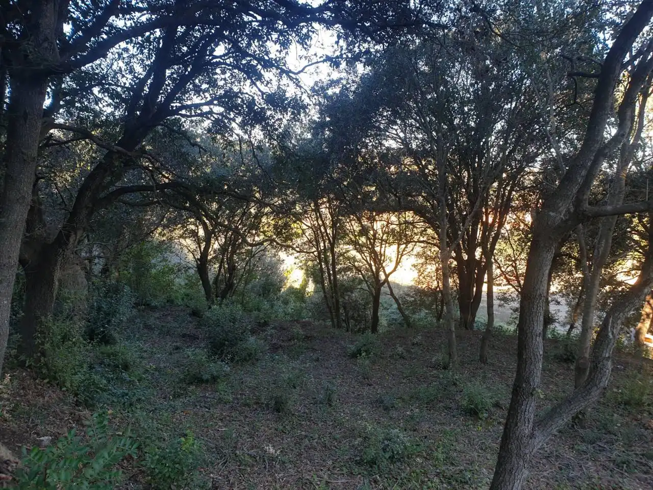 Rural land for sale in Mercuri 5, imagen 8