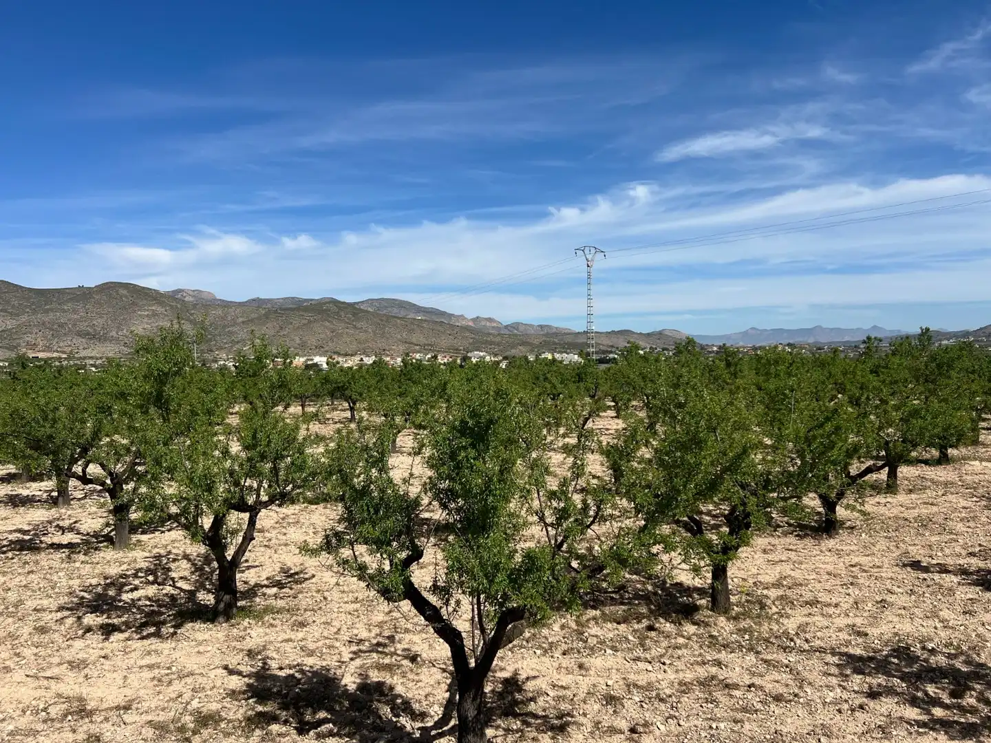 Residential land for sale in Hondón de los Frailes, imagen 12
