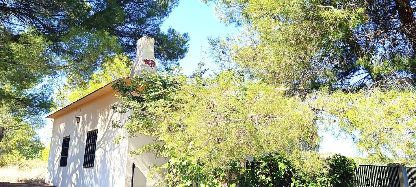 Exterior view of Country house for sale in Pedralba  with Private garden, Terrace and Swimming Pool