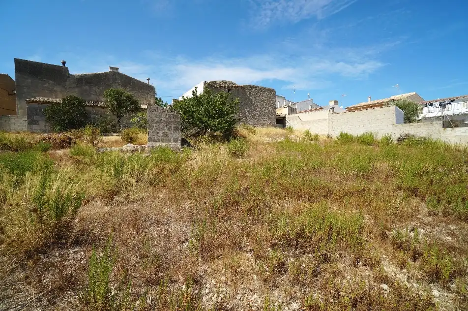Terrain rustique à vendre à Campanet, imagen 16