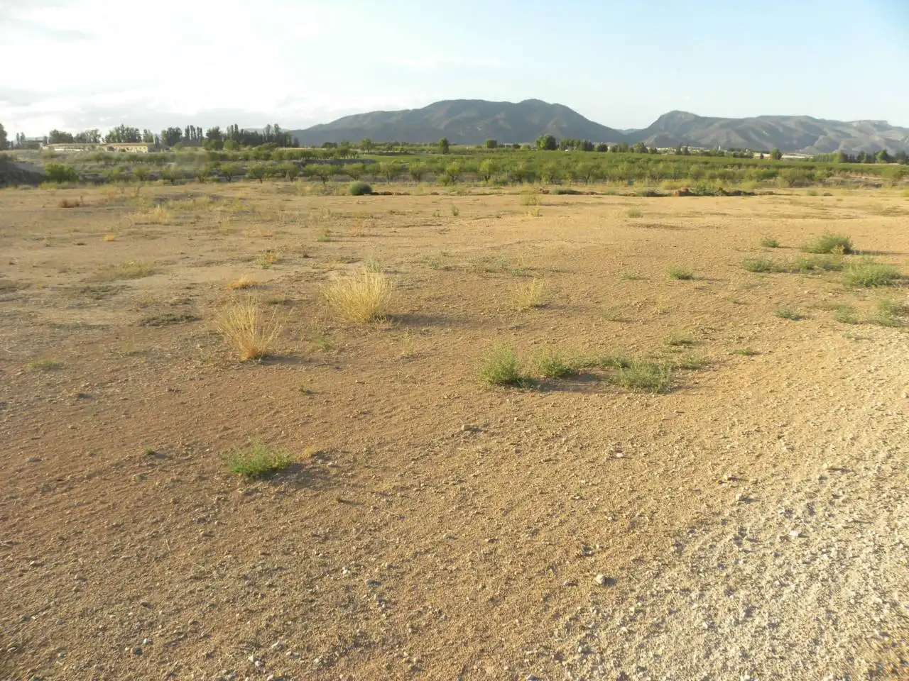 Residential land for sale in Caravaca de la Cruz, imagen 23