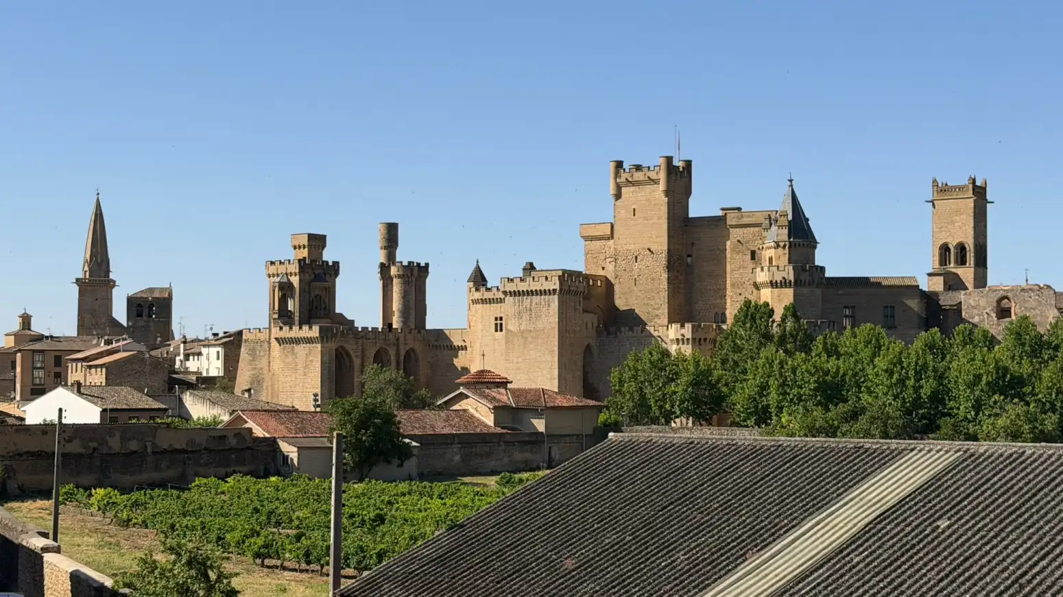Vista exterior de Casa adosada de lloguer en Olite / Erriberri amb Calefacció, Jardí privat i Parquet