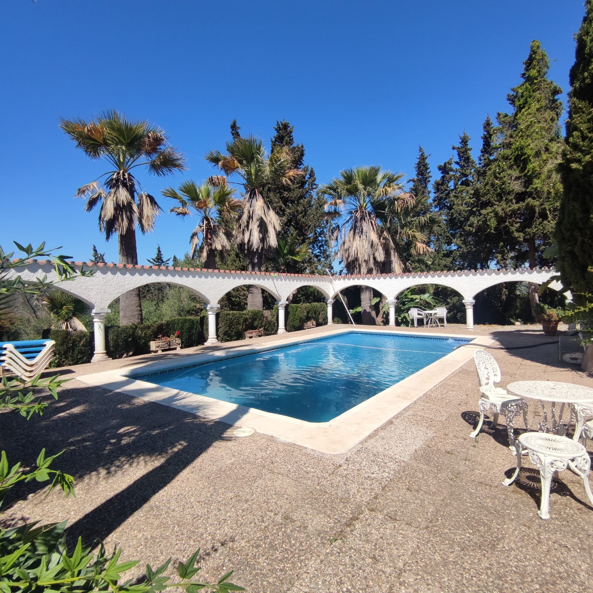 Swimming pool of House or chalet for sale in Sotogrande  with Private garden and Swimming Pool