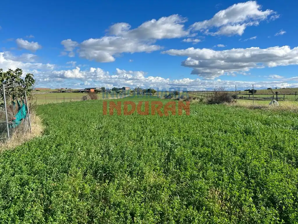 Casa rústica en venda a Peraleda de la Mata, imagen 2