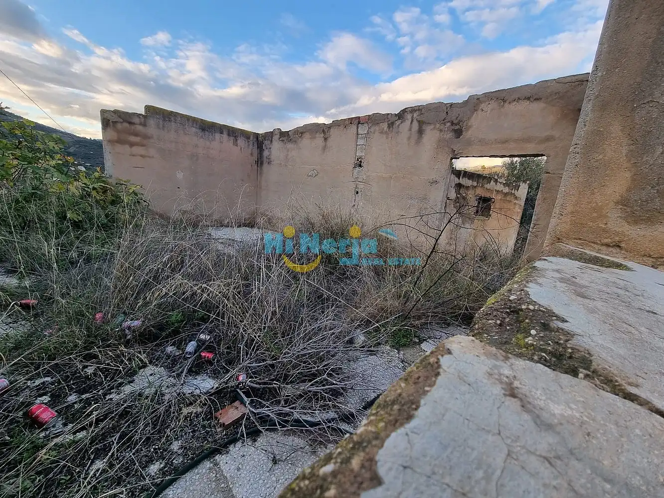 Houses for sale in Nerja