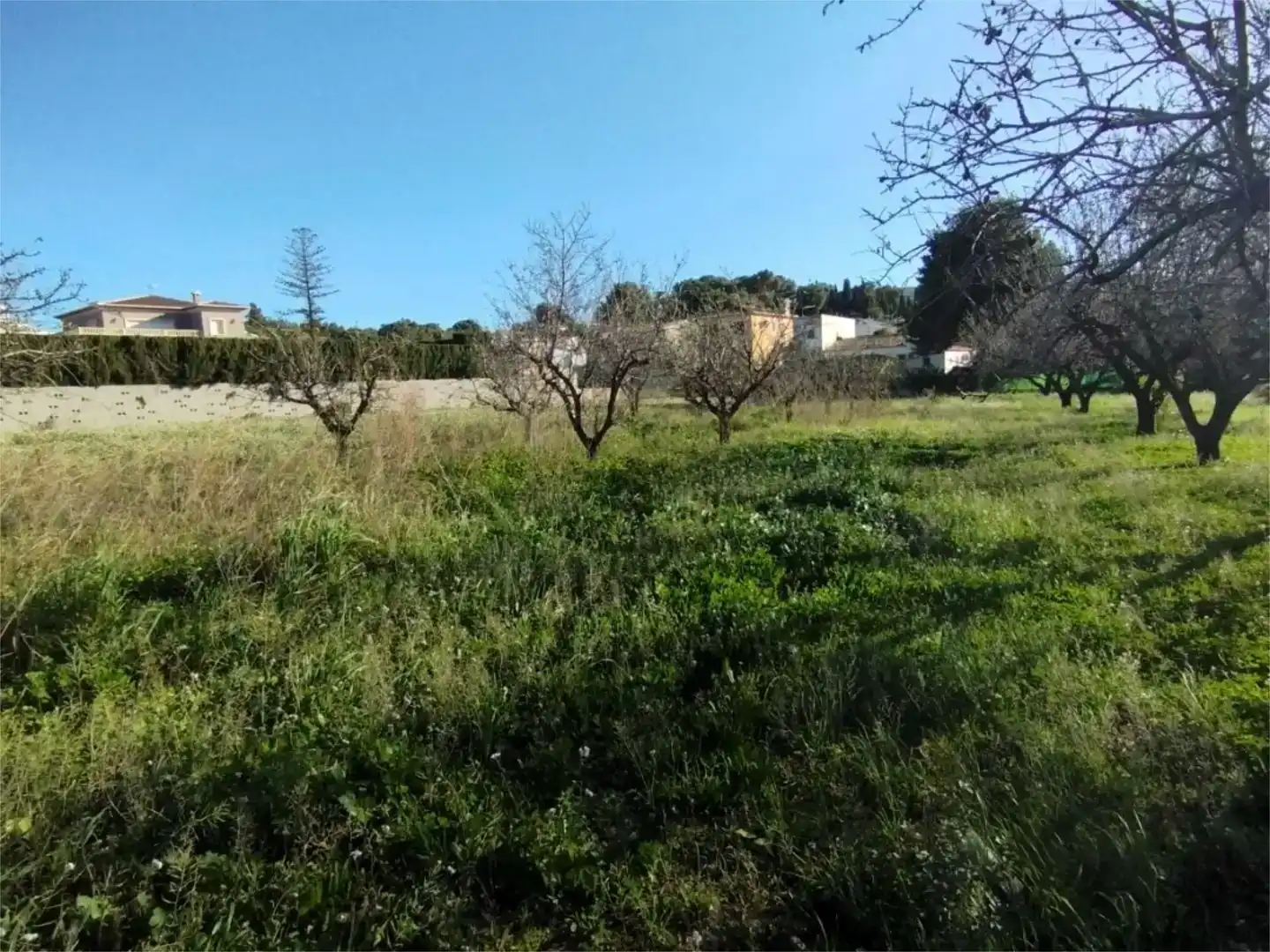 Land for sale in Gata de Gorgos, Alicante