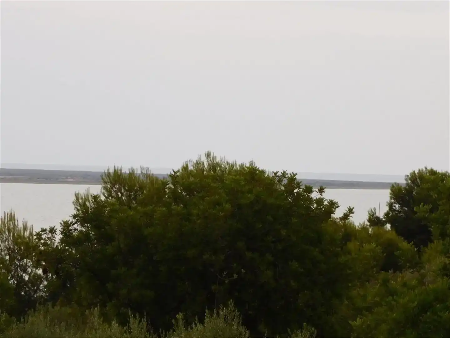 Finca rústica en venda en Alcanar