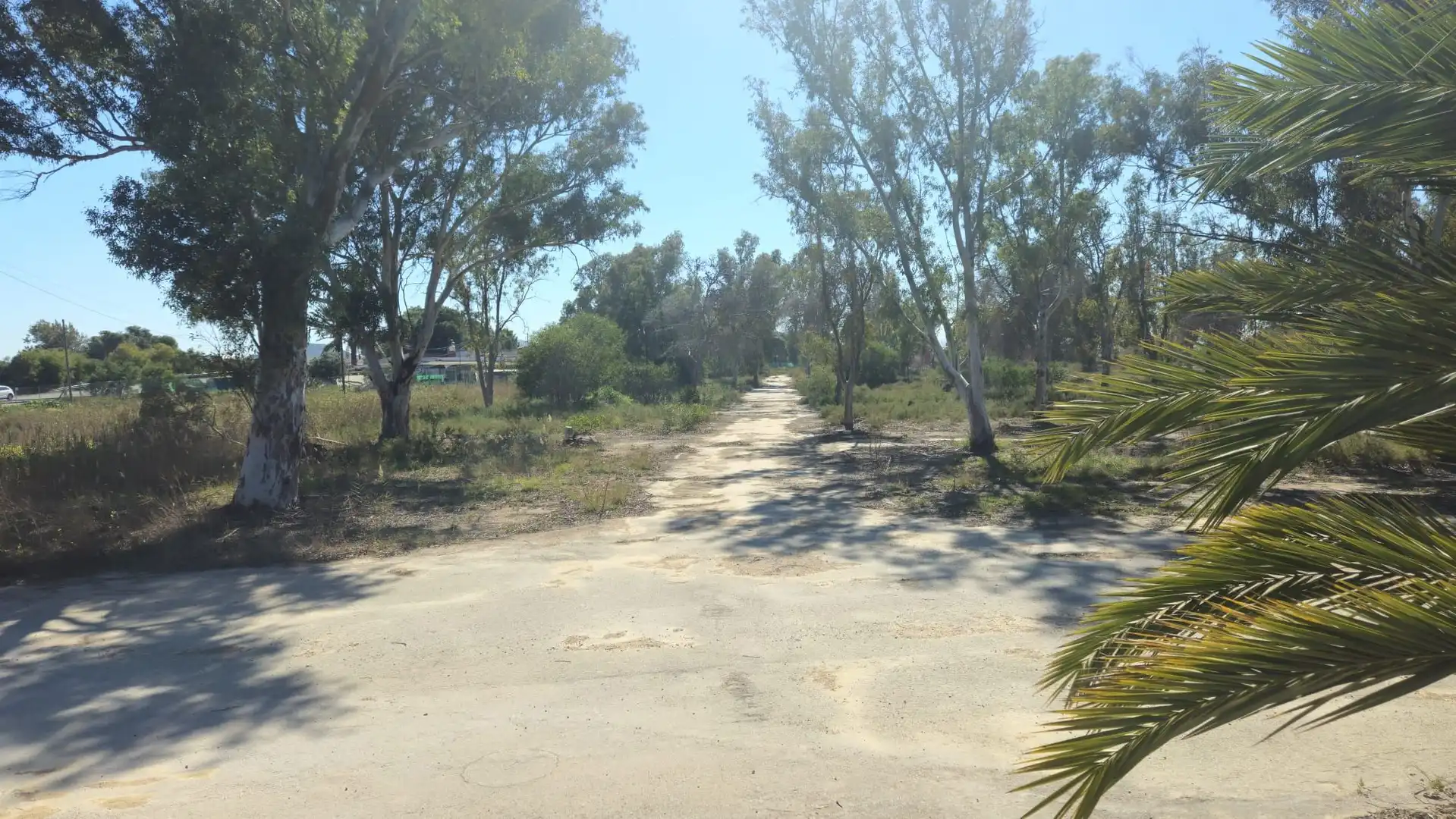 Terrenos y solares en venta en Mar Menor de Cartagena – Cabo de Palos, imagen 23