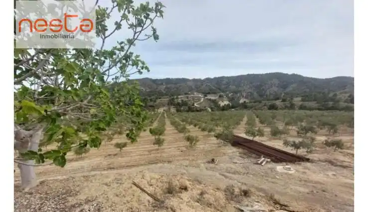 Country homes for sale in Lorca
