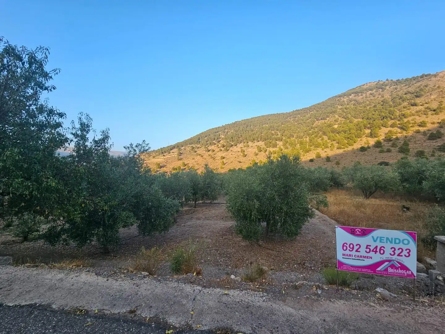 Finca rústica en venda en Fondón