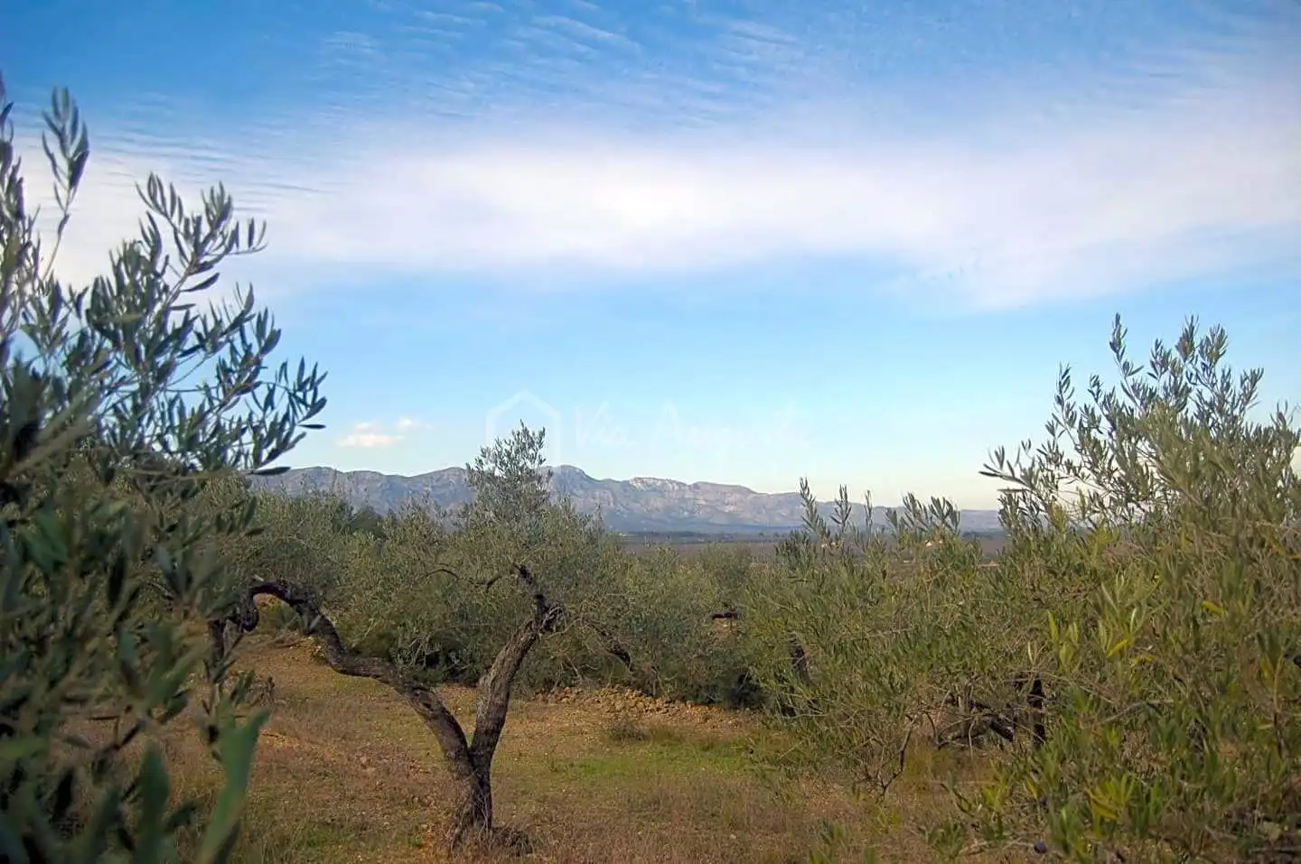 Terreno rustico in vendita a Burgar, imagen 14