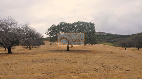 Venta de magnífica finca rústica de 180 hectáreas en Deleitosa, (Cáceres)., immagine 4