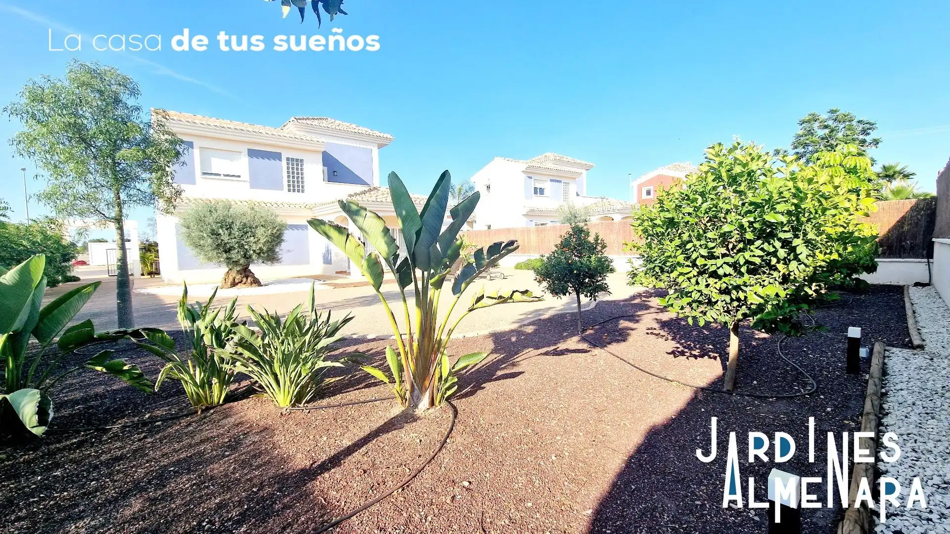 Villa con giardino in vendita a Pedanías Sur, imagen 19