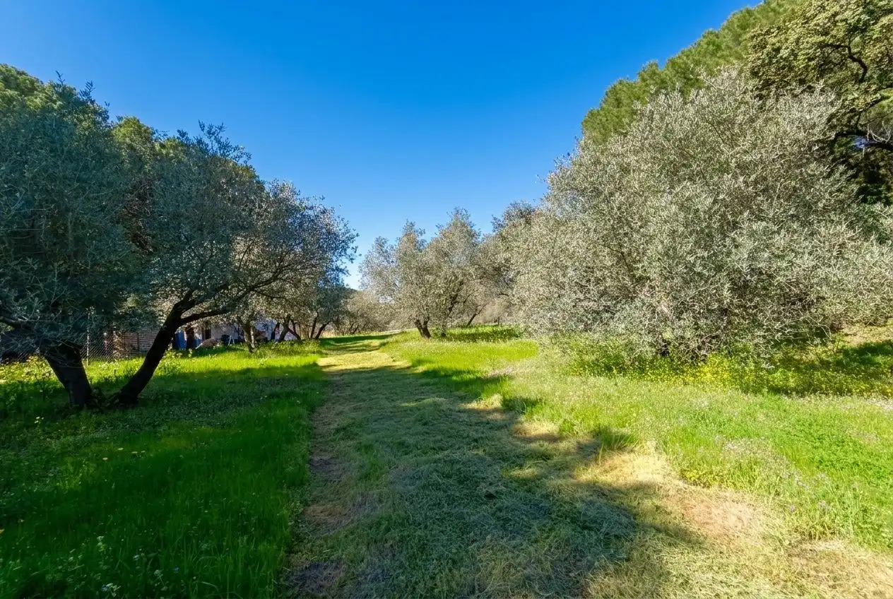 Finca rústica en venda en Andújar amb Jardí privat i Terrassa