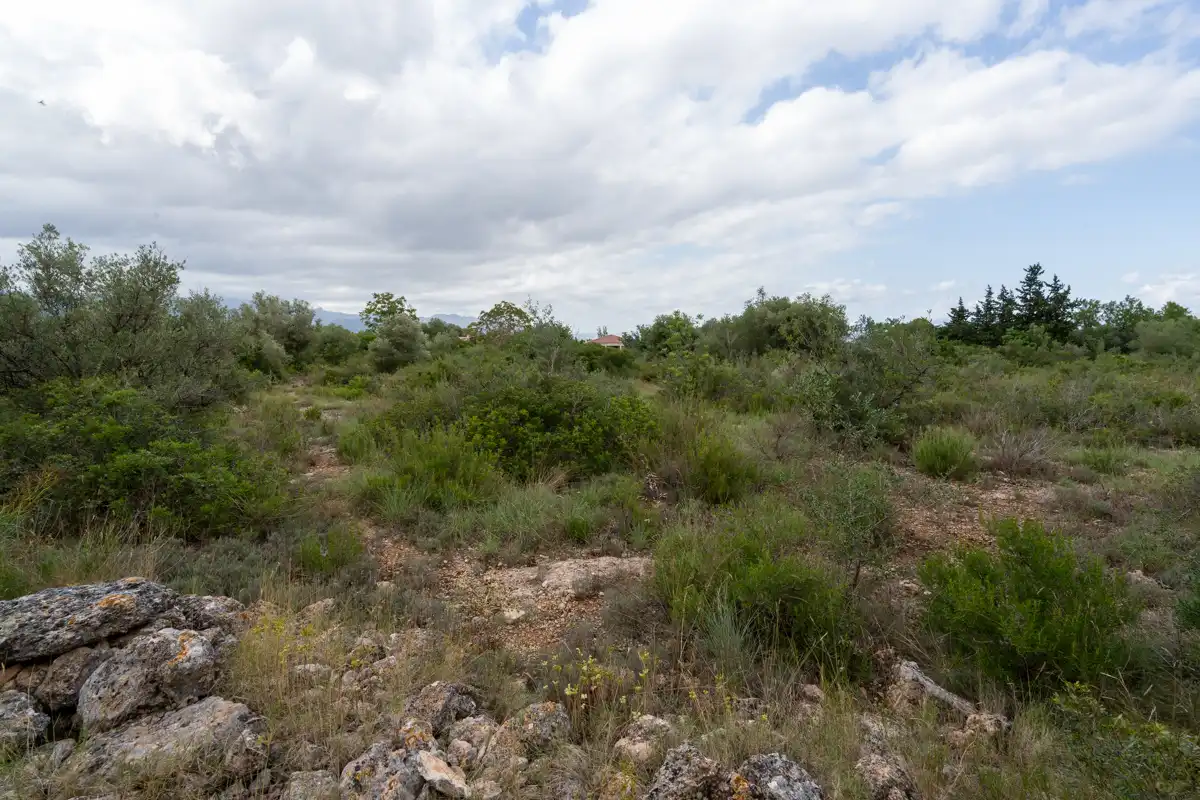 Rural land for sale in Vinallop, imagen 7