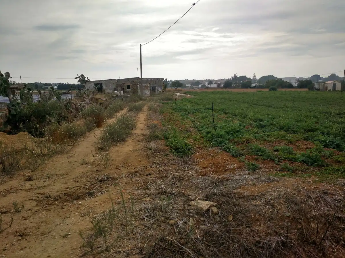 Casa rústica en venda a Barrio Nuevo, imagen 3