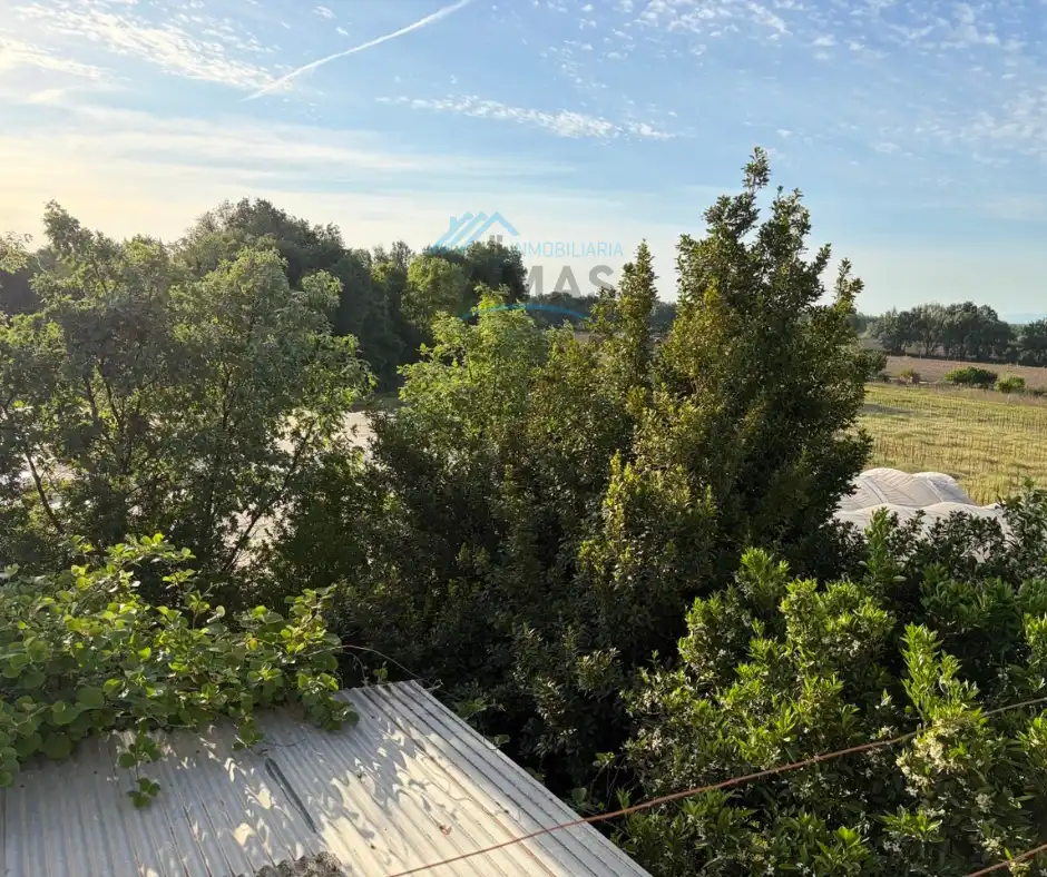 Finca rústica en venta en Cuacos de Yuste