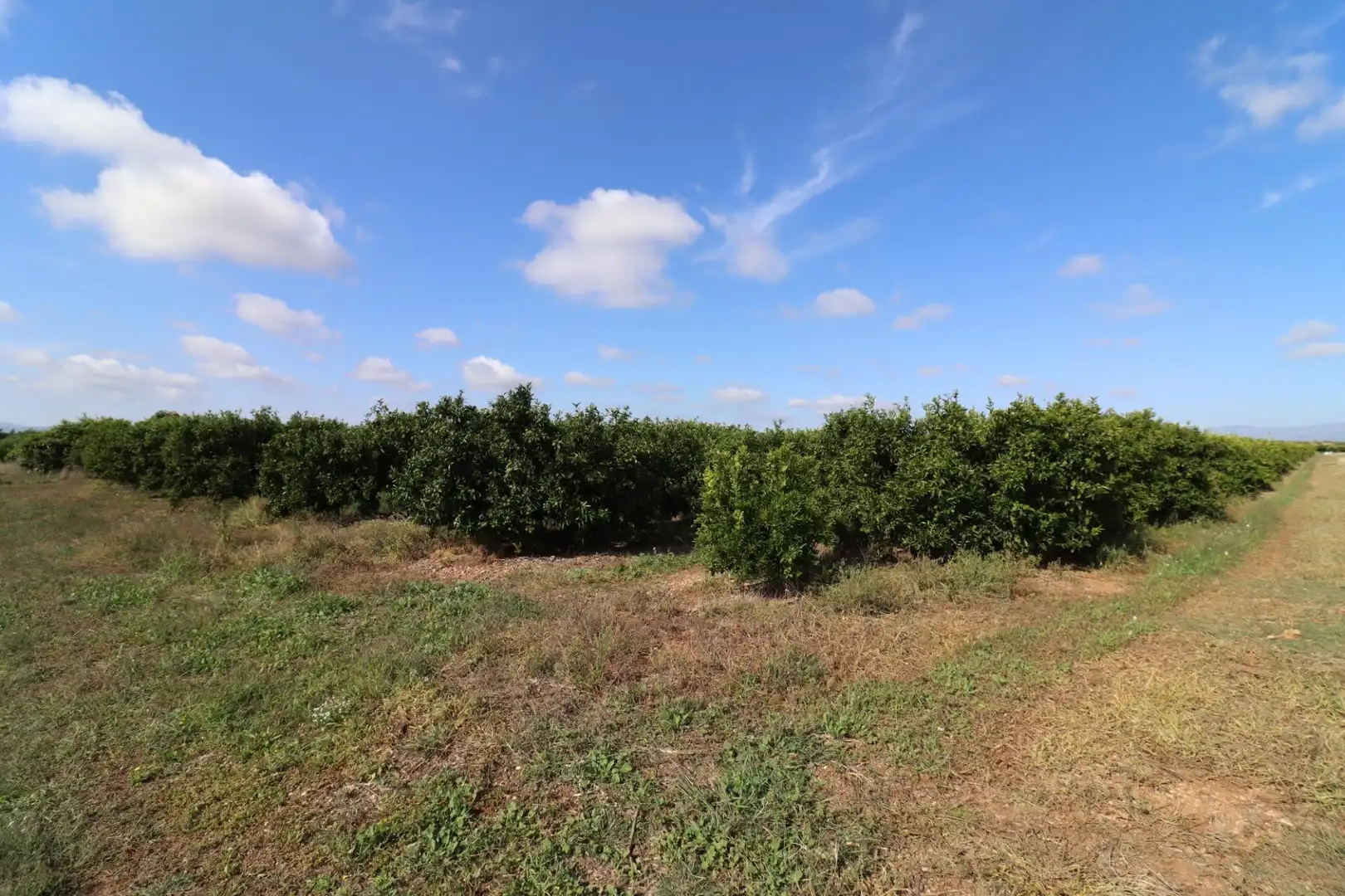Rural land for sale in Partidas de interior - Zona Rústica, imagen 8