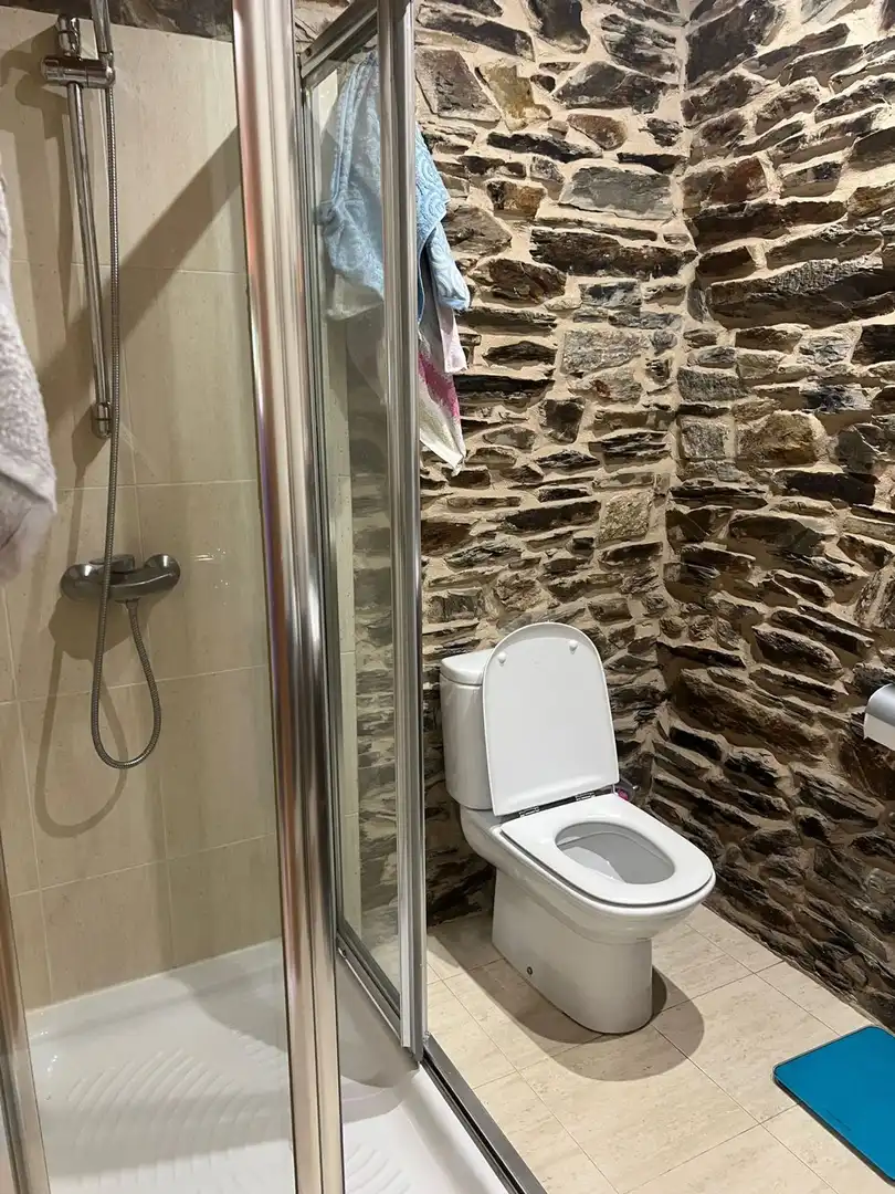 Baño de Finca rústica en venta en Triacastela con Jardín privado, Trastero y Balcón
