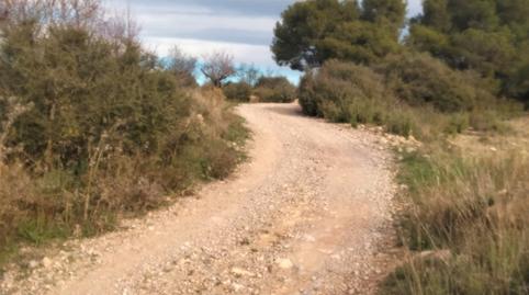 Photo 4 of Land for sale in Casinos, Valencia