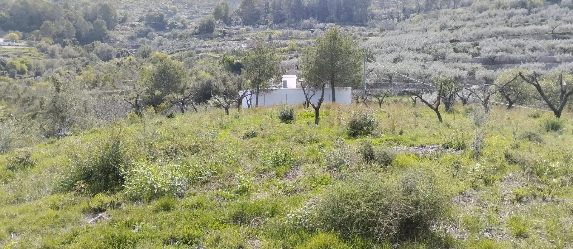 Terreny rústic en venda a La Vall de Gallinera, imagen 2