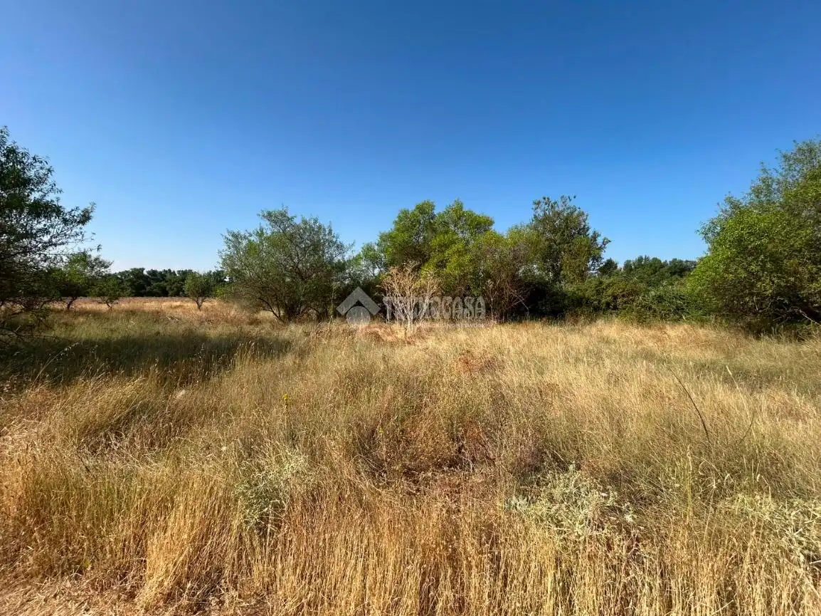 Rural land for sale in Laguna de Duero, imagen 4