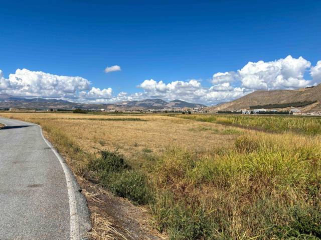 Terreno en Venta en Polígono de la Vega en Pinos Puente