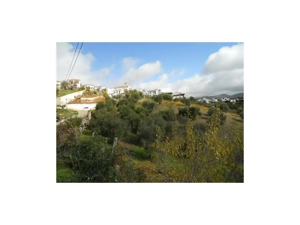 House for sale in Centro