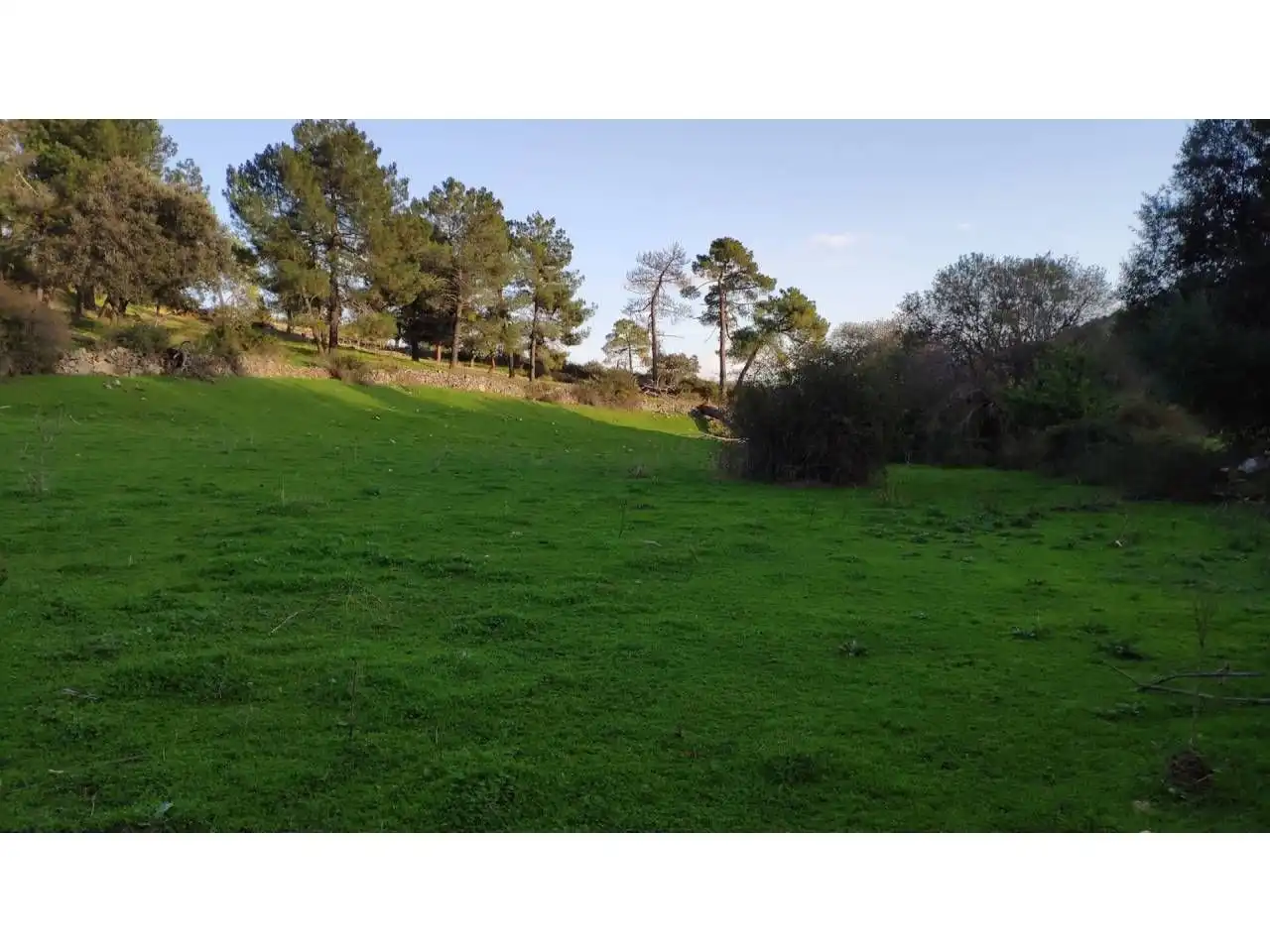 Residencial en venta en Las Navas del Marqués 
