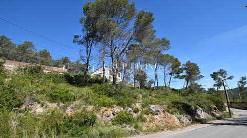 TERRENO EN MAS MESTRE, OLIVELLA