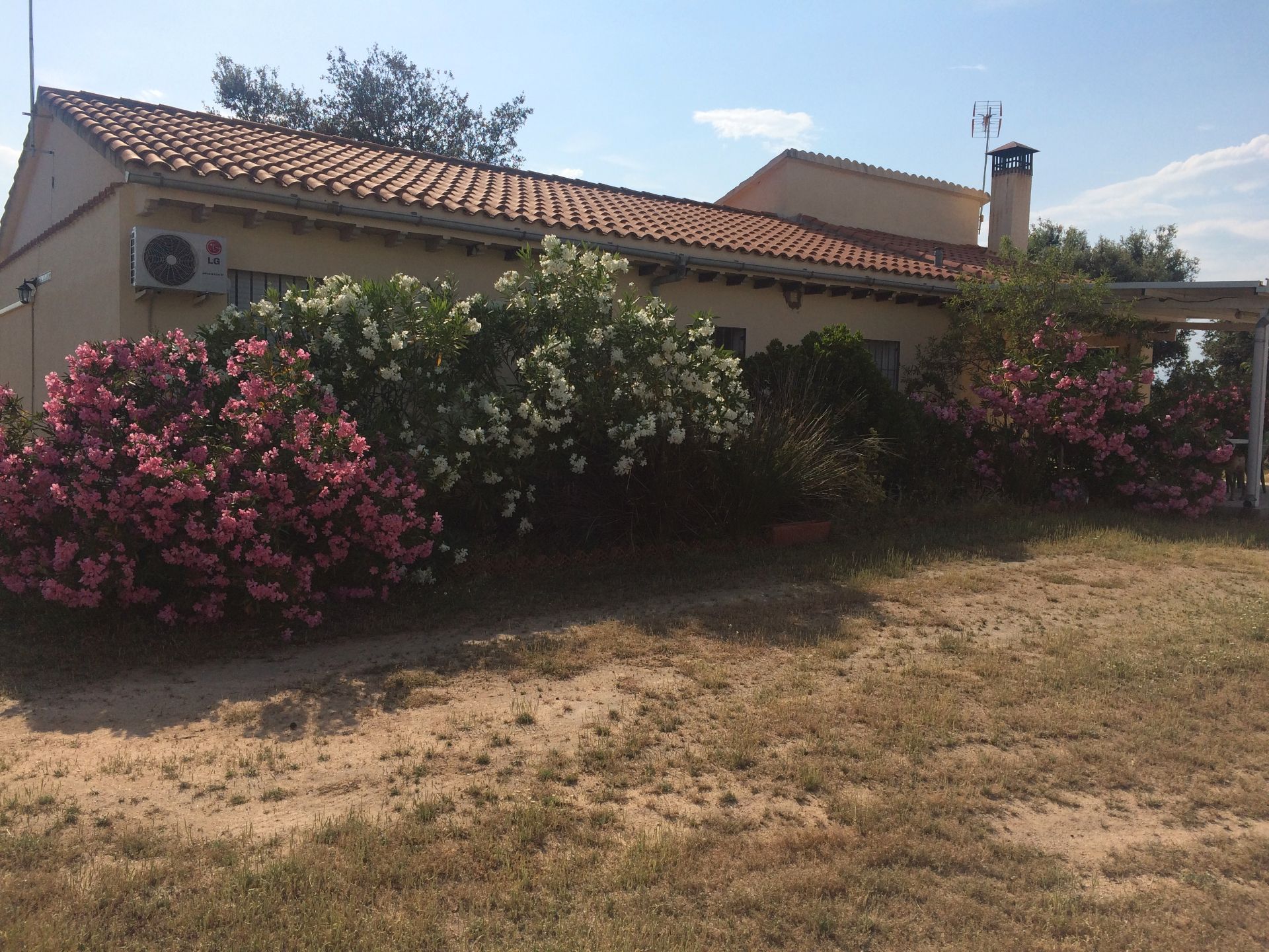 Jardín de Casa o chalet en venta en Nombela con Aire acondicionado, Calefacción y Jardín privado