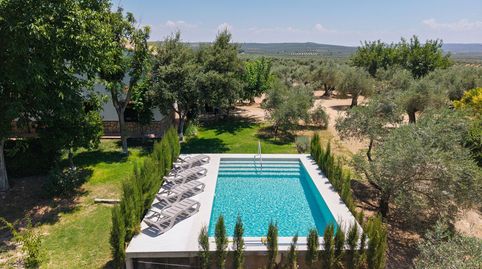 La Aragonesa  Una auténtica finca andaluza con historia y carácter, imatge 3