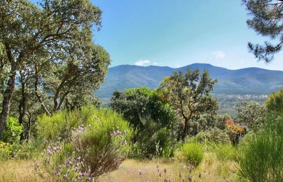Casa o chalet en venta en Los Navalucillos con Aire acondicionado, Calefacción y Jardín privado