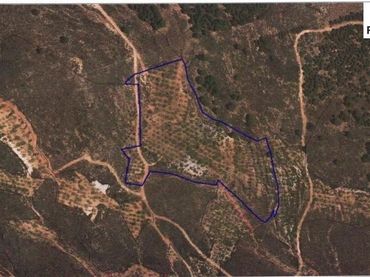 Rural land for sale in Alcolea