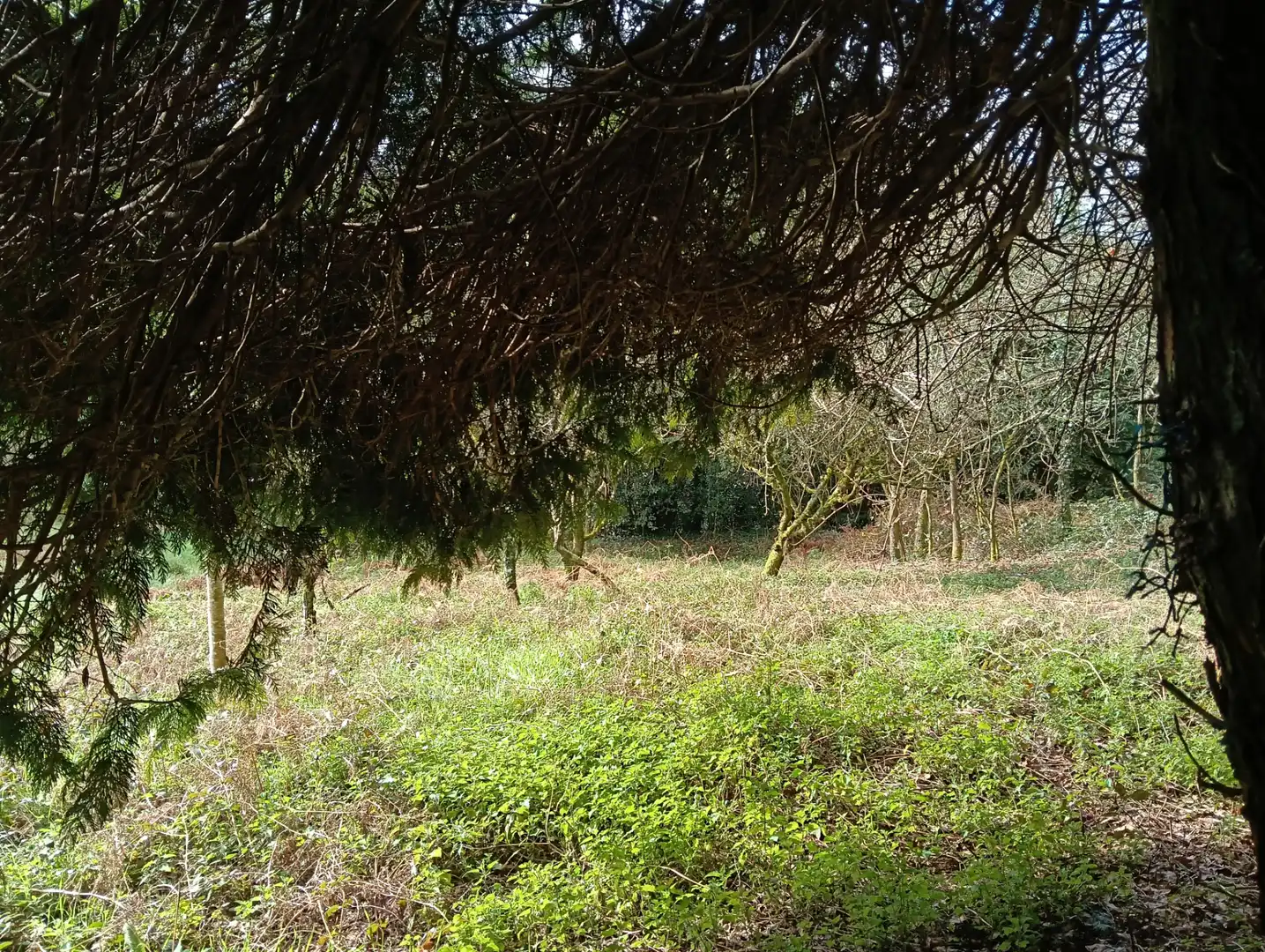 Adossat amb jardí en venda a Foro 55, imagen 51