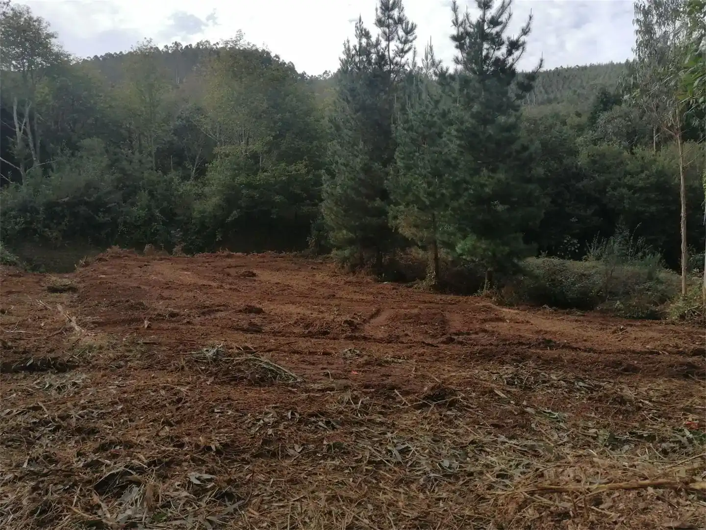 Terreno en venta en Cerdido