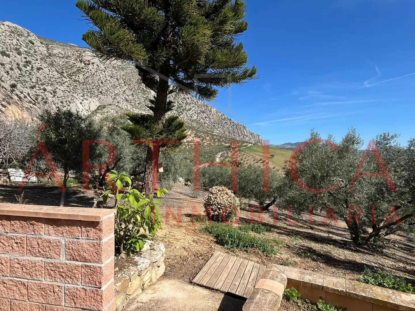 Chalet con jardín en venta en Diseminado Poligono, imagen 53