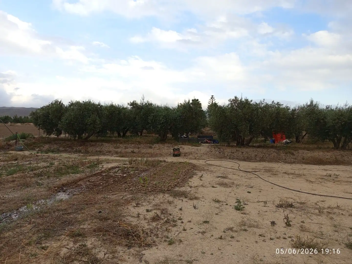 Terreno en venta en Lorca