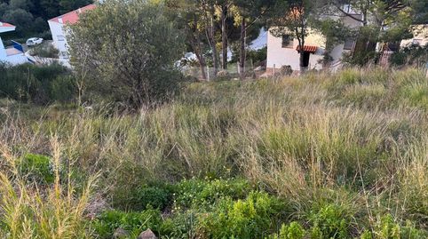 Foto 5 von Residential zum Verkauf in Carretera D'el Port de la Selva a Llançà, 51, Cau del Llop - Super Fener - Fener, Llançà