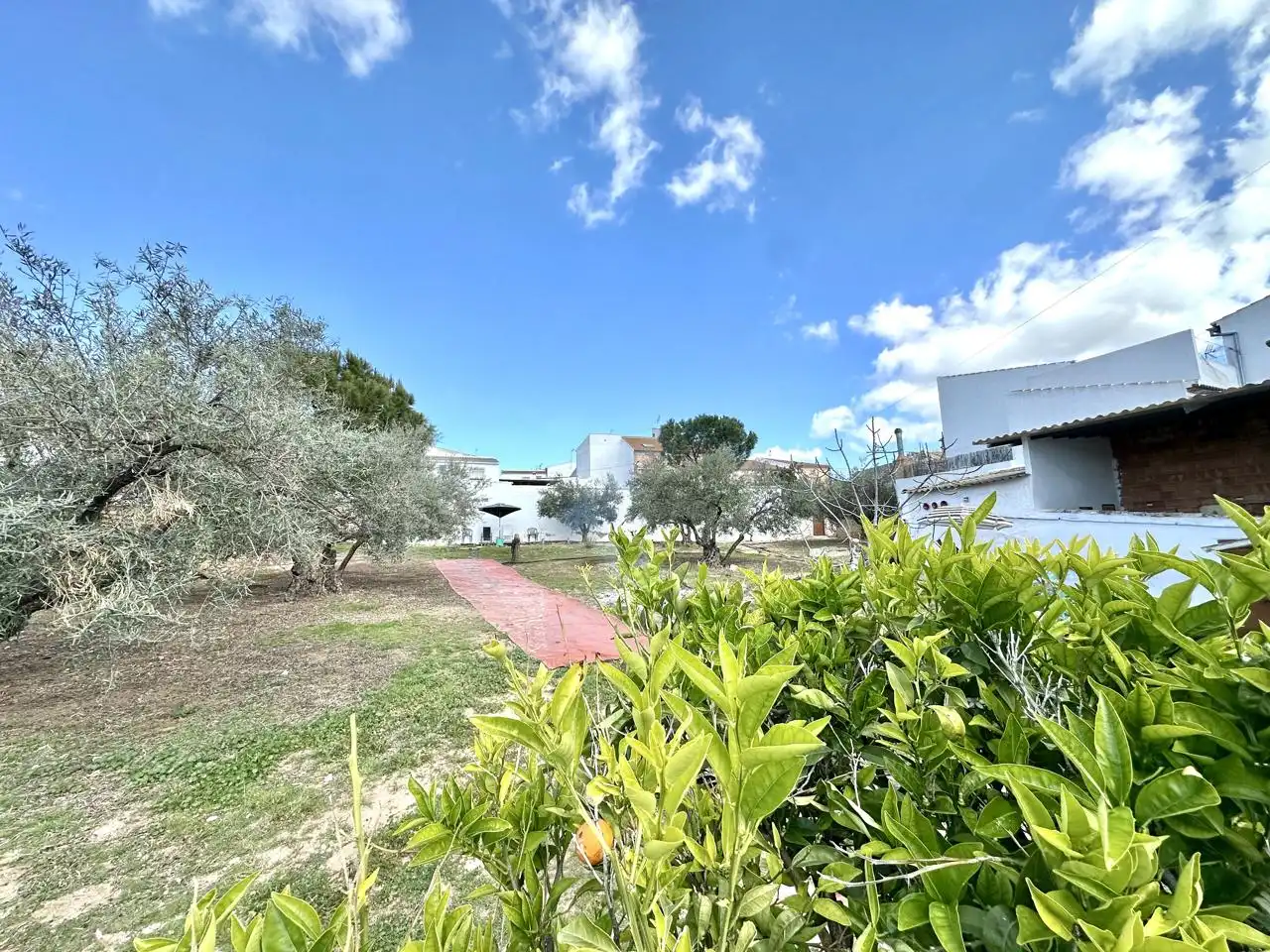 Casa amb jardí en venda a Villanueva de Algaidas, imagen 57