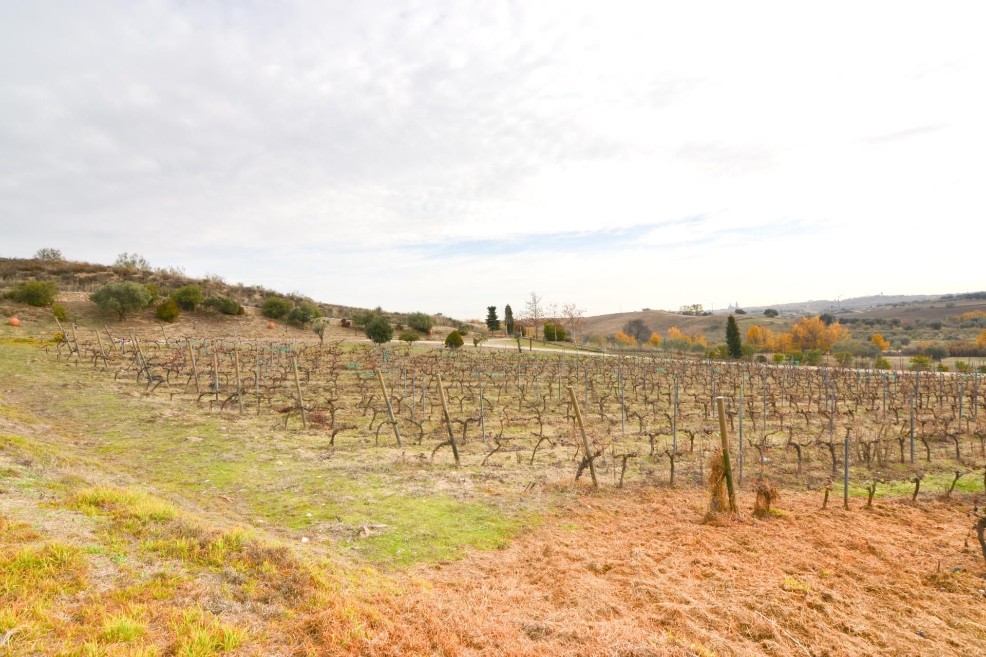 Casa o xalet en venda en Navalcarnero amb Terrassa, Traster i Piscina